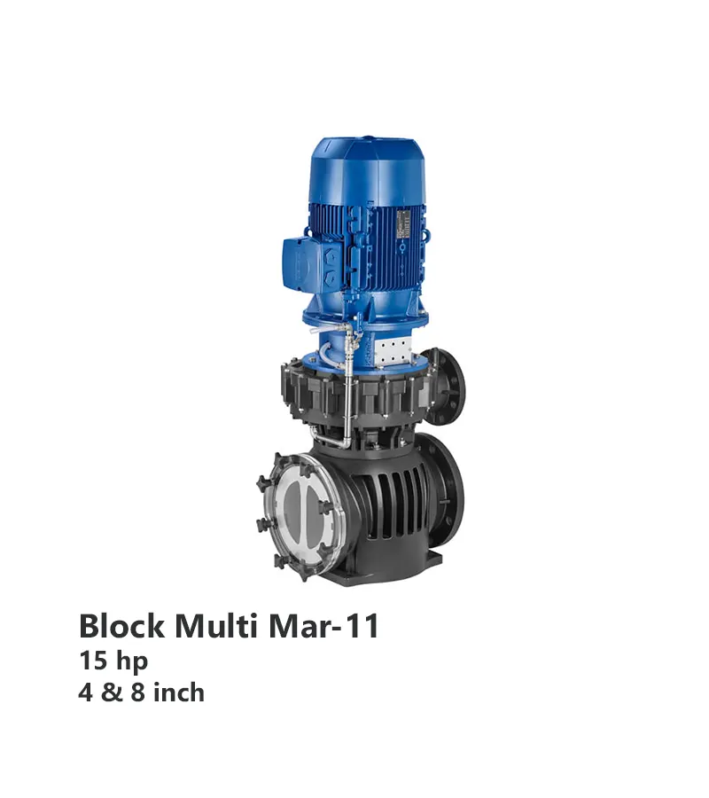 pool-pump-speck-badu-block-multi-mar-11